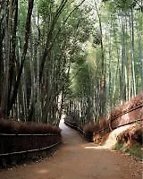 Kyoto Arashiyama Onsen Ryokan Hanaikada 4*,
